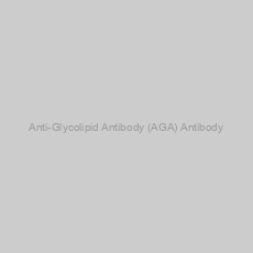 Image of Anti-Glycolipid Antibody (AGA) Antibody